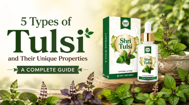 Shri Tulsi Extract A Natural Herbal Choice for Everyday Health & Wellness